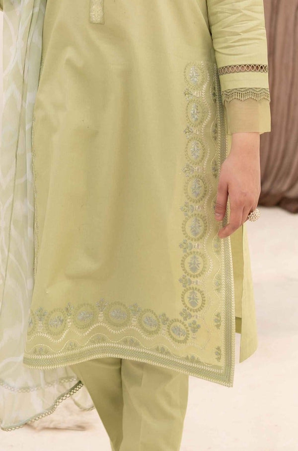 Hana | Zuri Zephyr | Fern