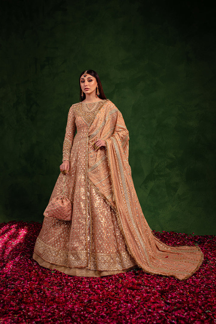 Maria Osama Khan | Salma Sitara |  VASL