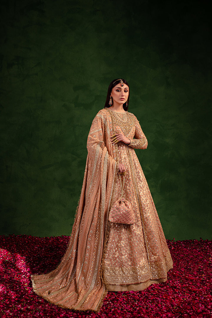 Maria Osama Khan | Salma Sitara |  VASL