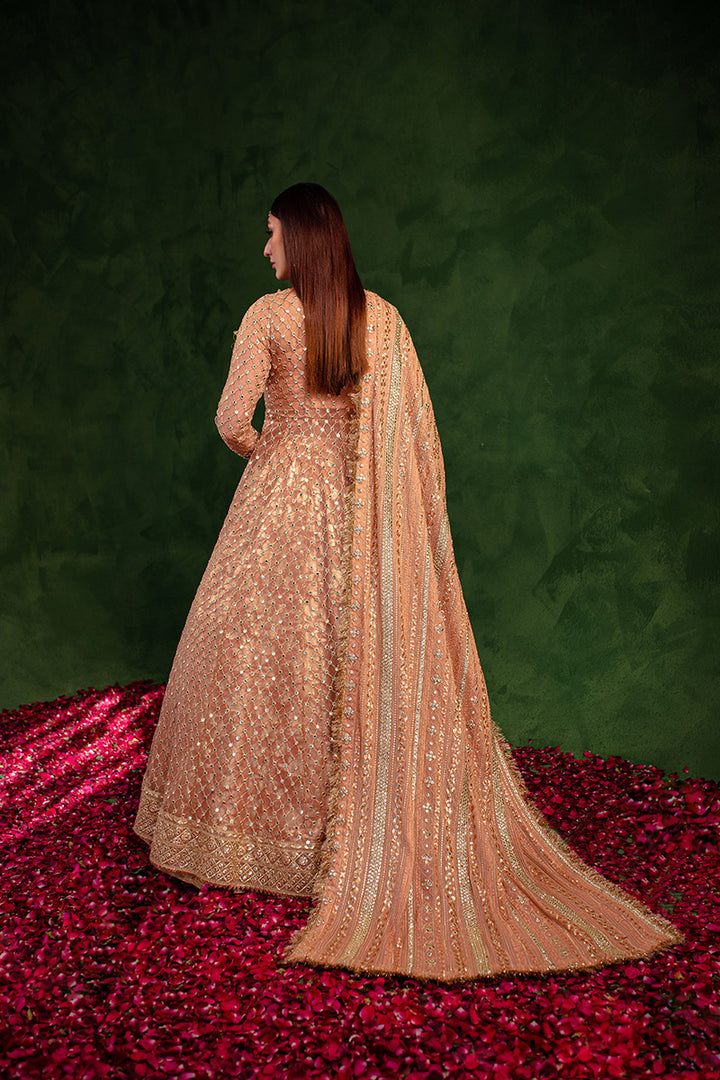 Maria Osama Khan | Salma Sitara |  VASL