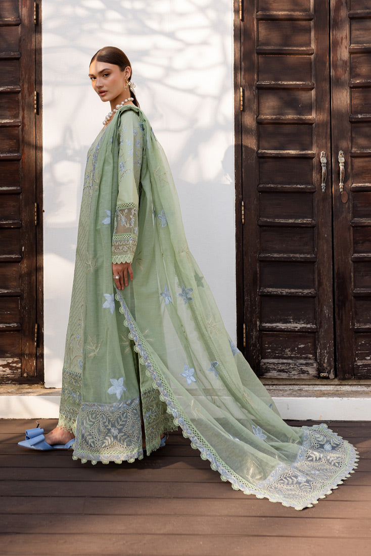 Marjjan | Fasana Lawn | MBL-11 B