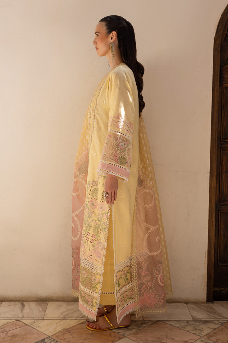 Marjjan | Ruhi Lawn | MLL-05 A