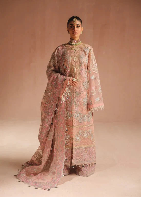 Ali Xeeshan | Prime Time Formals | Aarohi