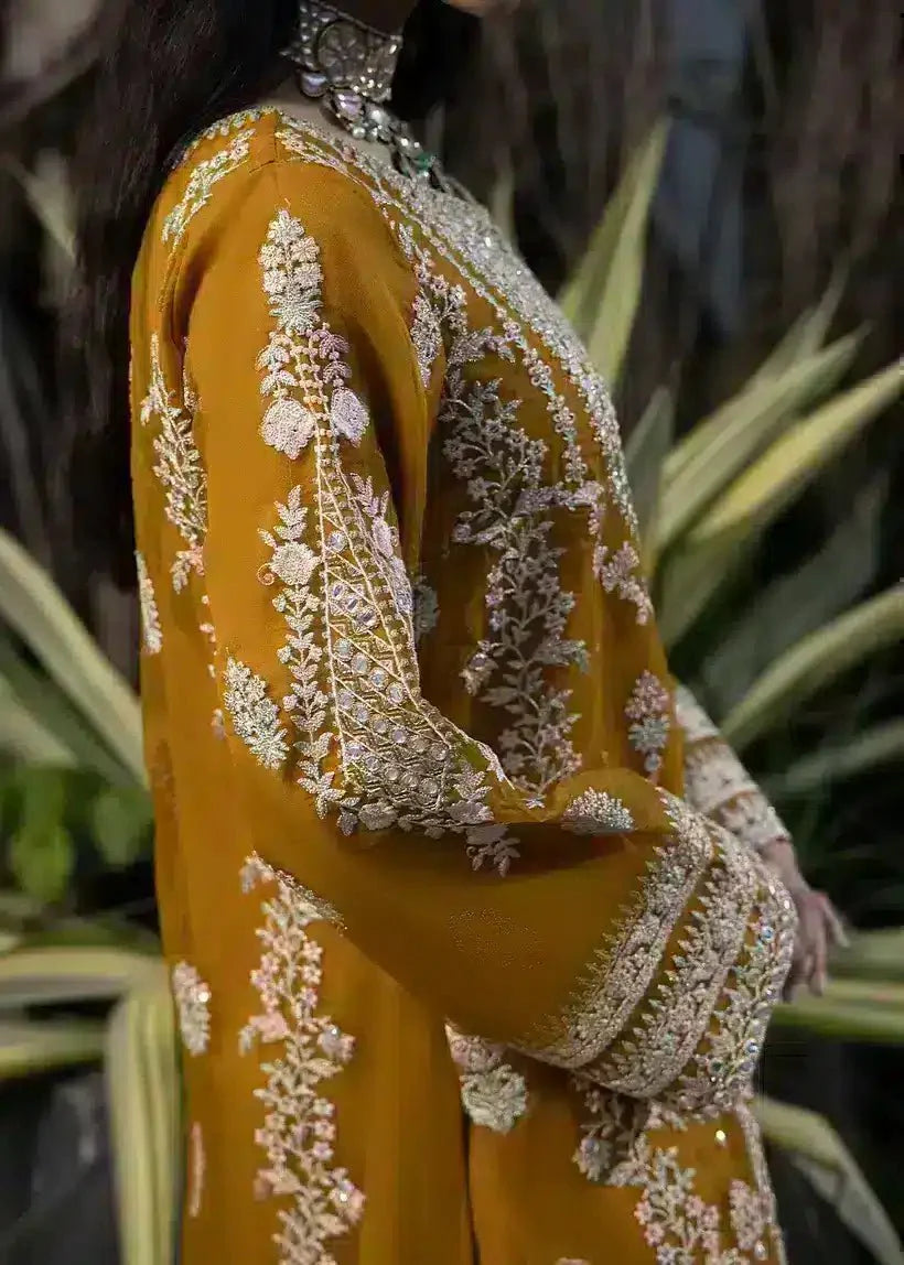 Ali Xesshan | Bhaag Lagay Rain | AMBER – LP-015