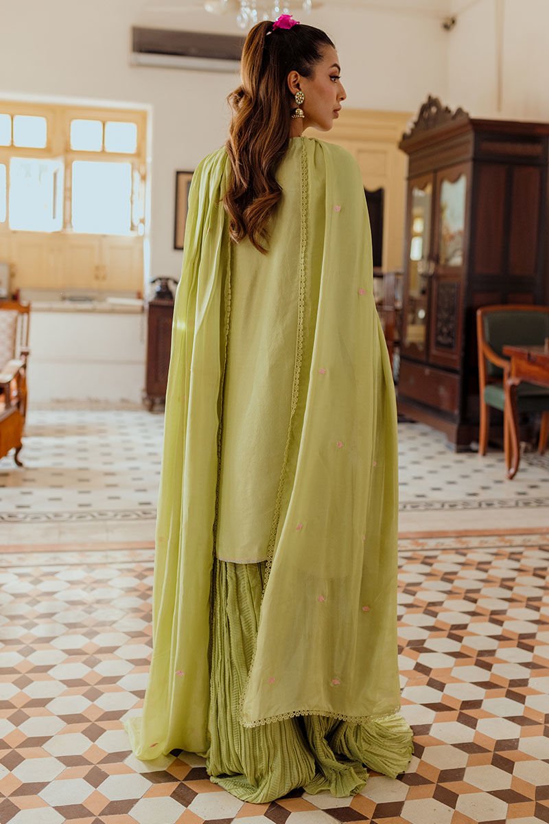Ansab Jahangir | Luxe Pret Eid 24 | Leena