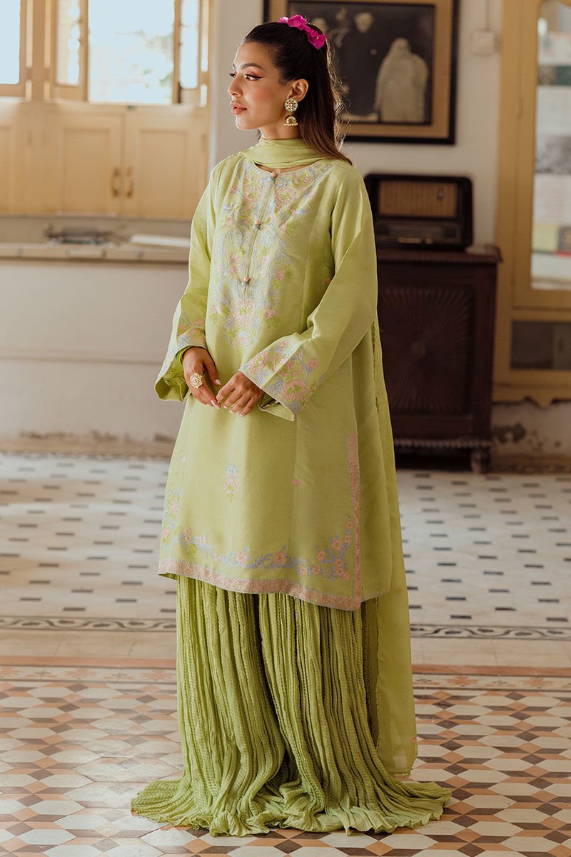 Ansab Jahangir | Luxe Pret Eid 24 | Leena