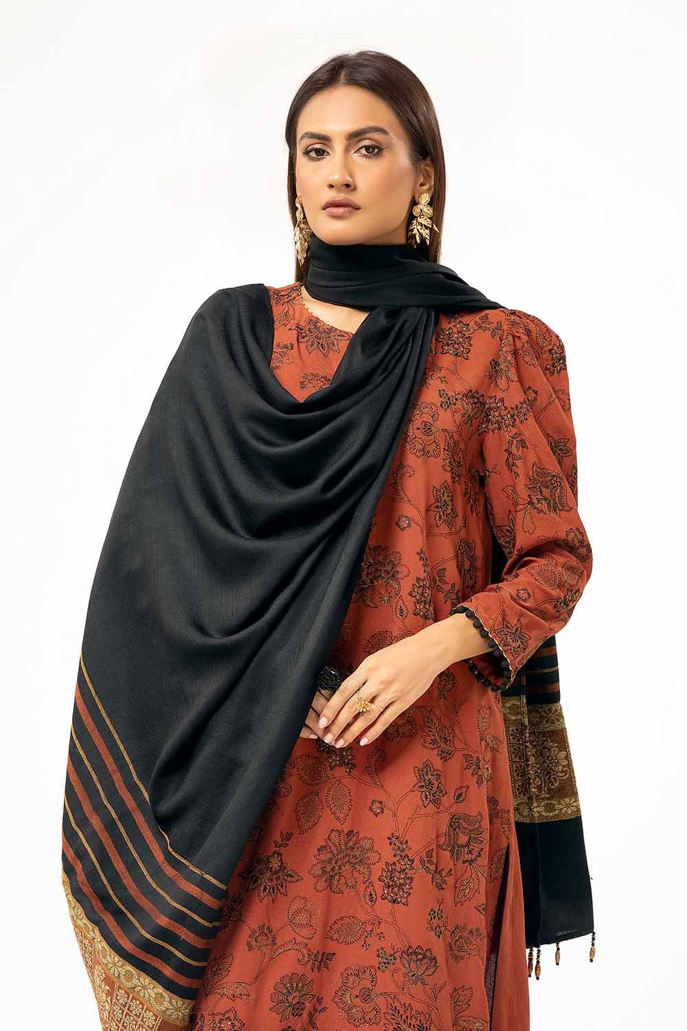 Gul Ahmed | Winter Collection 24 | Pashmina Suit AP-42001