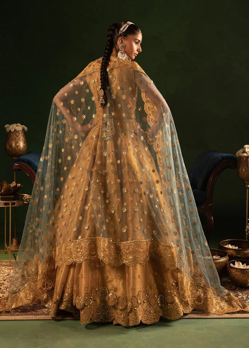 Diara Couture | Onora Wedding Festive | RYEAN - WC-2-05