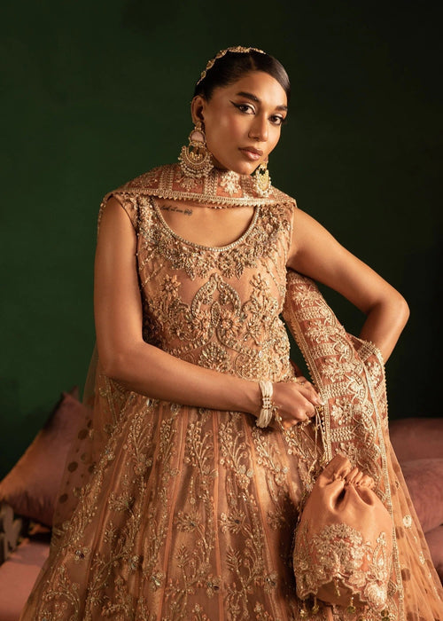 Diara Couture | Onora Wedding Festive | AYLA - WC-2-06