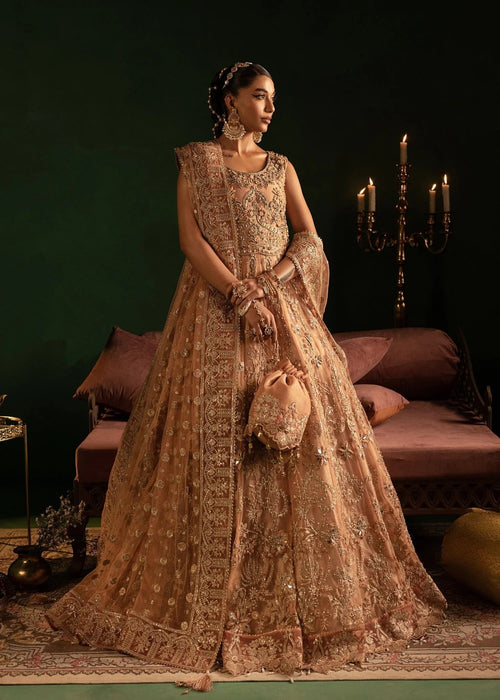 Diara Couture | Onora Wedding Festive | AYLA - WC-2-06