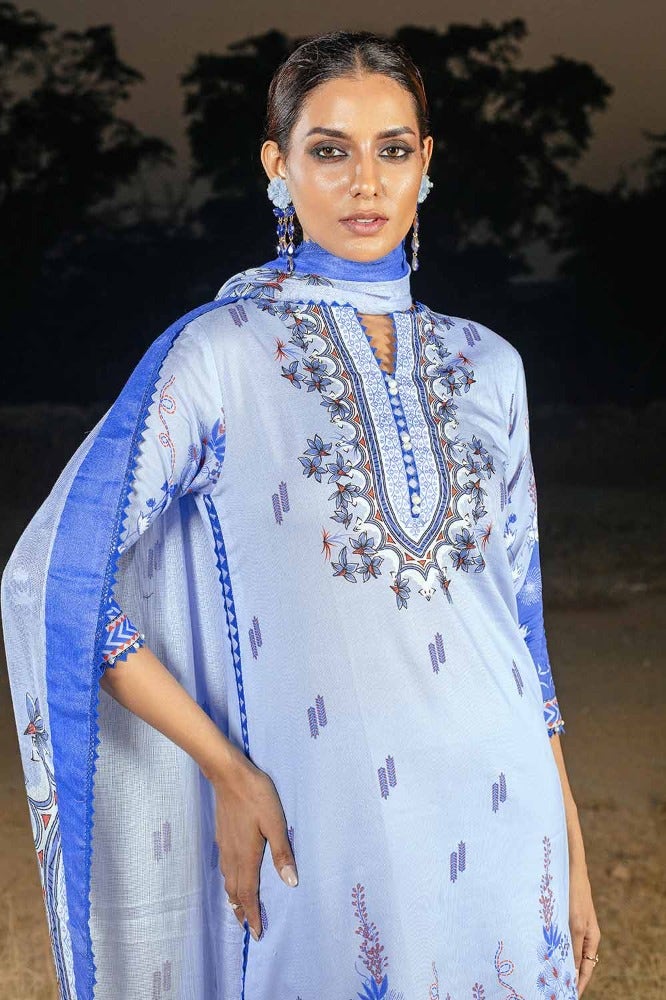 Gul Ahmed | Winter Collection 24 | Cotton Net Dupatta CD-32004 B