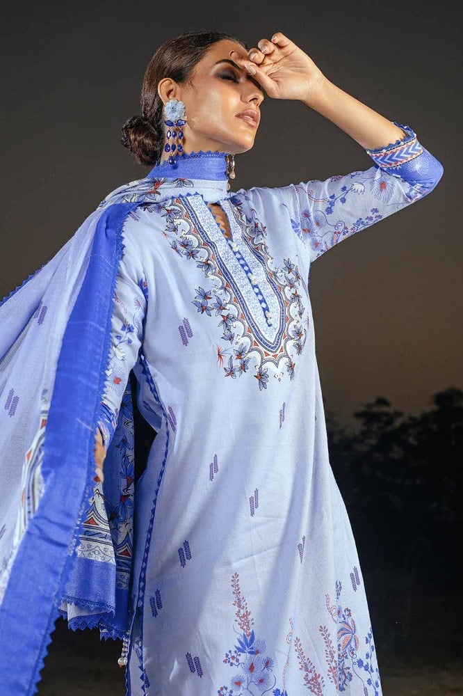 Gul Ahmed | Winter Collection 24 | Cotton Net Dupatta CD-32004 B