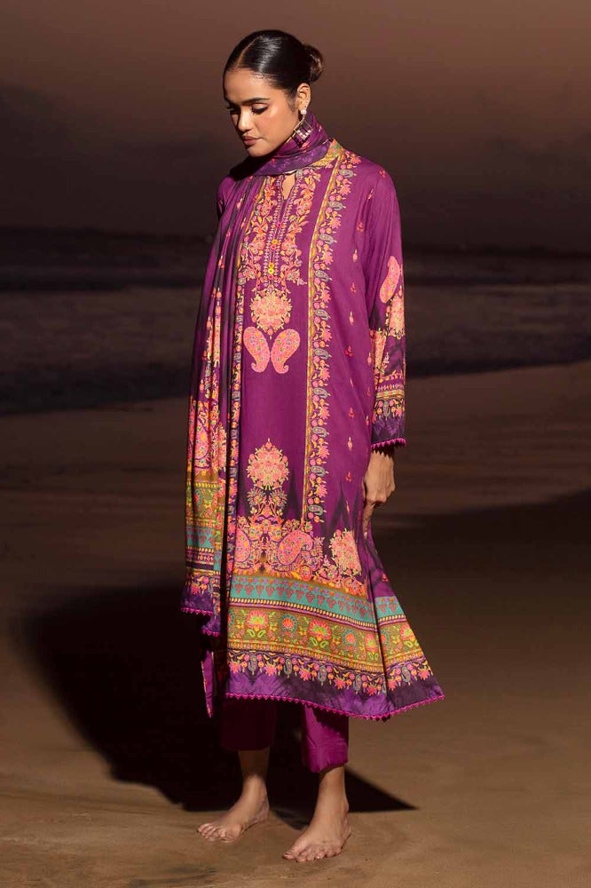 Gul Ahmed | Winter Collection 24 | Suit CV-32006