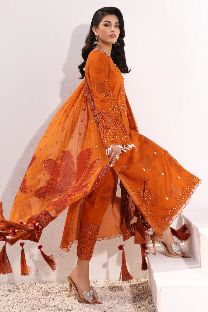 Charizma | Signature Festive 24 | ED-05