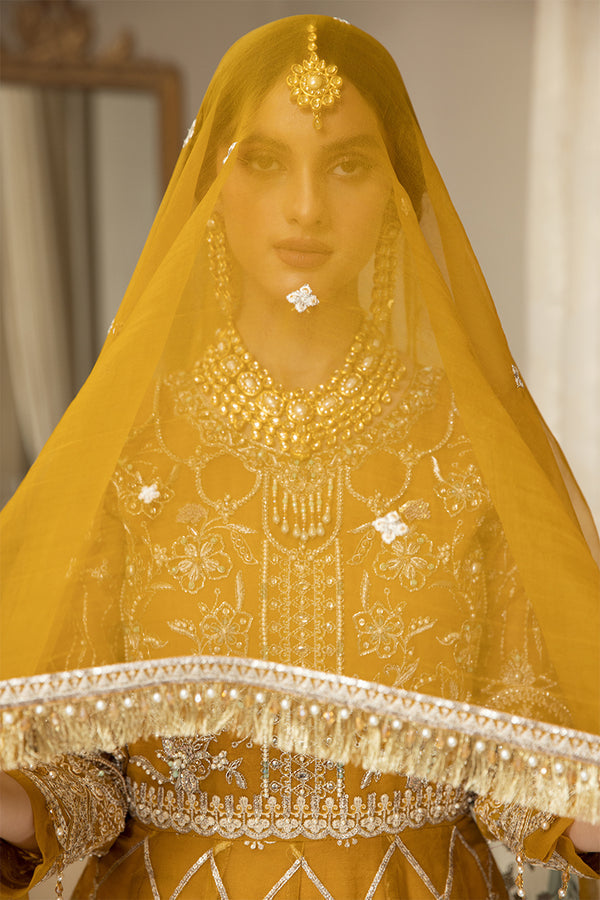 House of Nawab | Luxury Formals | HAZWA B