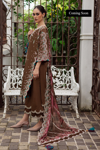 Marjjan | Lovella Winter 25 | MEV-47 B (COFFEE)