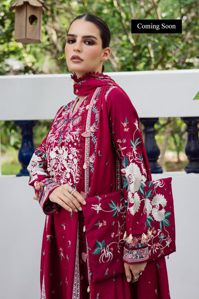 Marjjan | Lovella Winter 25 |MEV-46 A (REDDISH)