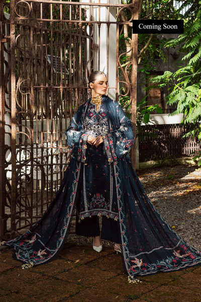 Marjjan | Lovella Winter 25 | MEV-46 B (BLUE)