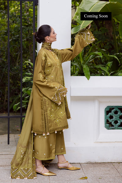 Marjjan | Lovella Winter 25 | MEV-43 A (OLIVE)