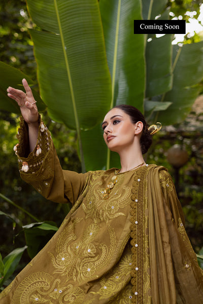 Marjjan | Lovella Winter 25 | MEV-43 A (OLIVE)